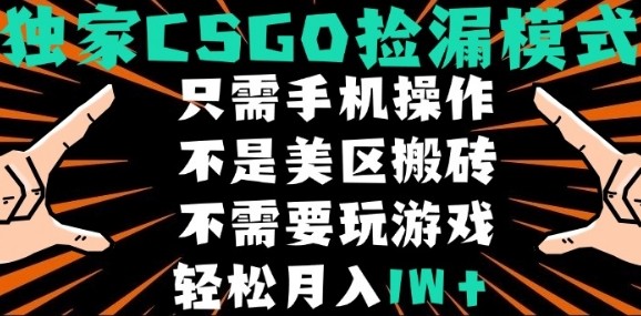 CSGO自动捡漏项目,最新独家玩法,不是美区搬砖,不需要了解和玩游戏,新手小白轻松月入1W+【揭秘】插图 CSGO自动捡漏项目,最新独家玩法,不是美区搬砖,不需要了解和玩游戏,新手小白轻松月入1W+【揭秘】