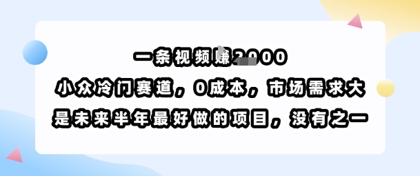 一条视频挣1k,小众冷门赛道,0成本,市场需求大,是未来半年最好做的项目,没有之一插图 一条视频挣1k,小众冷门赛道,0成本,市场需求大,是未来半年最好做的项目,没有之一