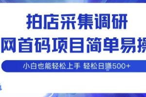 拍店采集调研，全网首码项目，简单易操作， 小白也能轻松上手，多账号操作，轻松日入5张【揭秘】
