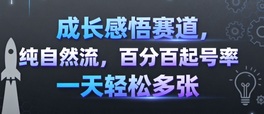 成长感悟赛道,纯自然流,百分百起号率 一天轻松多张插图 成长感悟赛道,纯自然流,百分百起号率 一天轻松多张