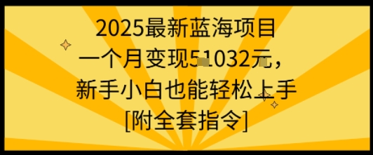 2025最新蓝海项目一个月变现1w+新手小白也能轻松上手【附全套指令】插图 2025最新蓝海项目一个月变现1w+新手小白也能轻松上手【附全套指令】