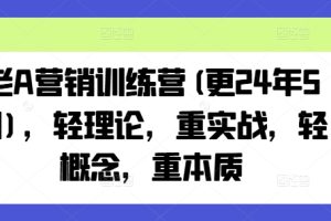 老A营销训练营(更25年8月)，轻理论，重实战，轻概念，重本质