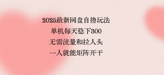 2025最新网盘自撸玩法,单机每天稳下3张,无需流量和拉人头,一个人就可轻松矩阵,全网独一份【揭秘】插图 2025最新网盘自撸玩法,单机每天稳下3张,无需流量和拉人头,一个人就可轻松矩阵,全网独一份【揭秘】