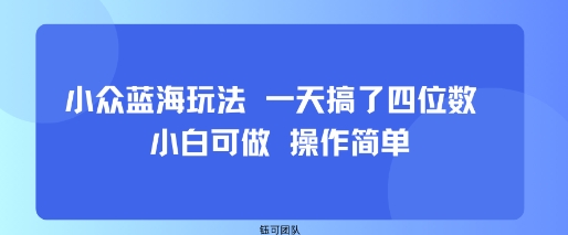 小众蓝海玩法 一天搞了四位数 小白可做 操作简单插图 小众蓝海玩法 一天搞了四位数 小白可做 操作简单