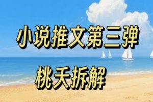 小说推文项目操作全流程第三弹，0粉就能做，门槛低非常适合新手