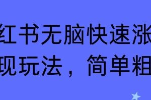 小红书无脑快速涨粉变现玩法，简单粗暴
