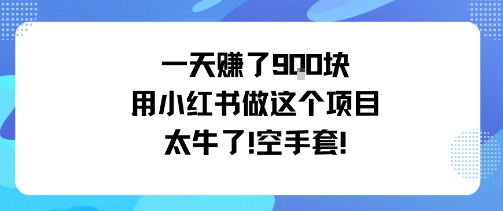 一天挣了9张用小红书做这个项目太牛了,空手套插图 一天挣了9张用小红书做这个项目太牛了,空手套
