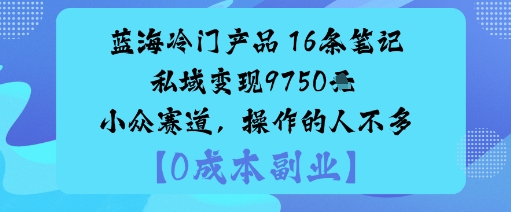蓝海冷门产品:16条笔记私域变现9750米小众赛道,操作的人不多插图 蓝海冷门产品:16条笔记私域变现9750米小众赛道,操作的人不多