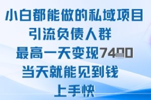 2025年小白都能做的私域项目引流负债人群最高一天变现1k+高变现难度低当天就能见到钱上手快