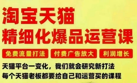 淘宝天猫精细化爆品运营课,免费流量打法-付费广告放大-利润增长-三大核心痛点,一次全部解决插图 淘宝天猫精细化爆品运营课,免费流量打法-付费广告放大-利润增长-三大核心痛点,一次全部解决