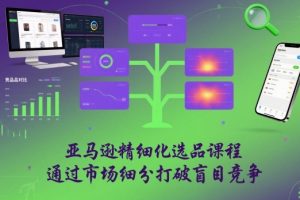 亚马逊精细化选品课程,通过市场细分打破盲目竞争