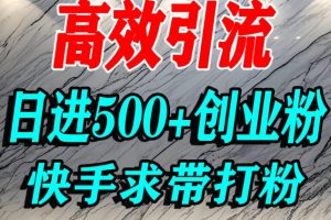 怎么打创业粉?快手求带视角精准引流创业粉,宝妈、学生群体日进500+精准流量