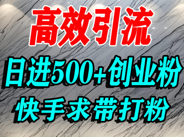 怎么打创业粉?快手求带视角精准引流创业粉,宝妈、学生群体日进500+精准流量插图 怎么打创业粉?快手求带视角精准引流创业粉,宝妈、学生群体日进500+精准流量