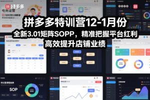 拼多多特训营12-1月份，全新3.01矩阵Sop，精准把握平台红利，高效提升店铺业绩