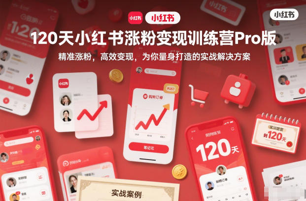 120天小红书涨粉变现训练营Pro版,精准涨粉,高效变现,为你量身打造的实战解决方案插图 120天小红书涨粉变现训练营Pro版,精准涨粉,高效变现,为你量身打造的实战解决方案