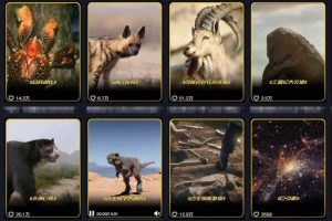 抖音60W粉丝博主最新科学知识科普视频制作教学，流量超好，多平台发布撸收益