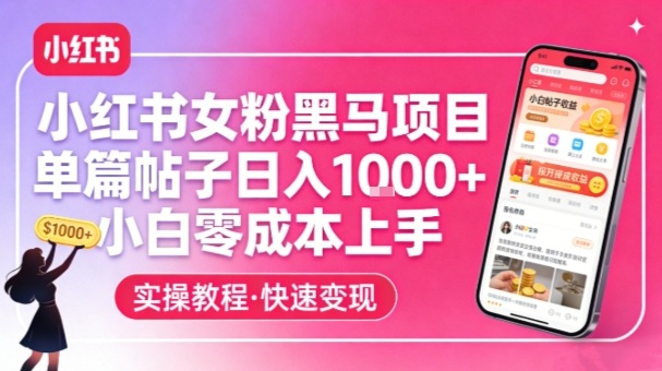 小红书女粉黑马项目,单篇帖子日入1k+,小白零成本上手插图 小红书女粉黑马项目,单篇帖子日入1k+,小白零成本上手