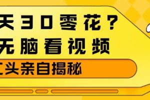1天30零花？无脑看视频，大佬亲自揭秘