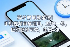 碎片时间就能做!手机视频审核项目,20秒一单,随时随地可做,单日4张+【揭秘】