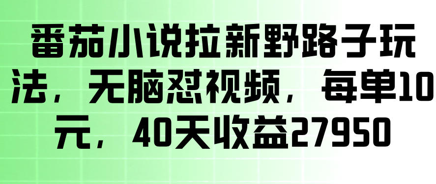 番茄小说拉新野路子玩法,无脑怼视频,玩法简单、见效快,每单10米,40天收益27950插图 番茄小说拉新野路子玩法,无脑怼视频,玩法简单、见效快,每单10米,40天收益27950