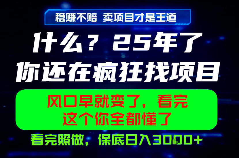 26年,请不要疯狂的找项目做了!卖项目才是真的稳賺不赔,看完照做,保底日入1k+【揭秘】插图 26年,请不要疯狂的找项目做了!卖项目才是真的稳賺不赔,看完照做,保底日入1k+【揭秘】