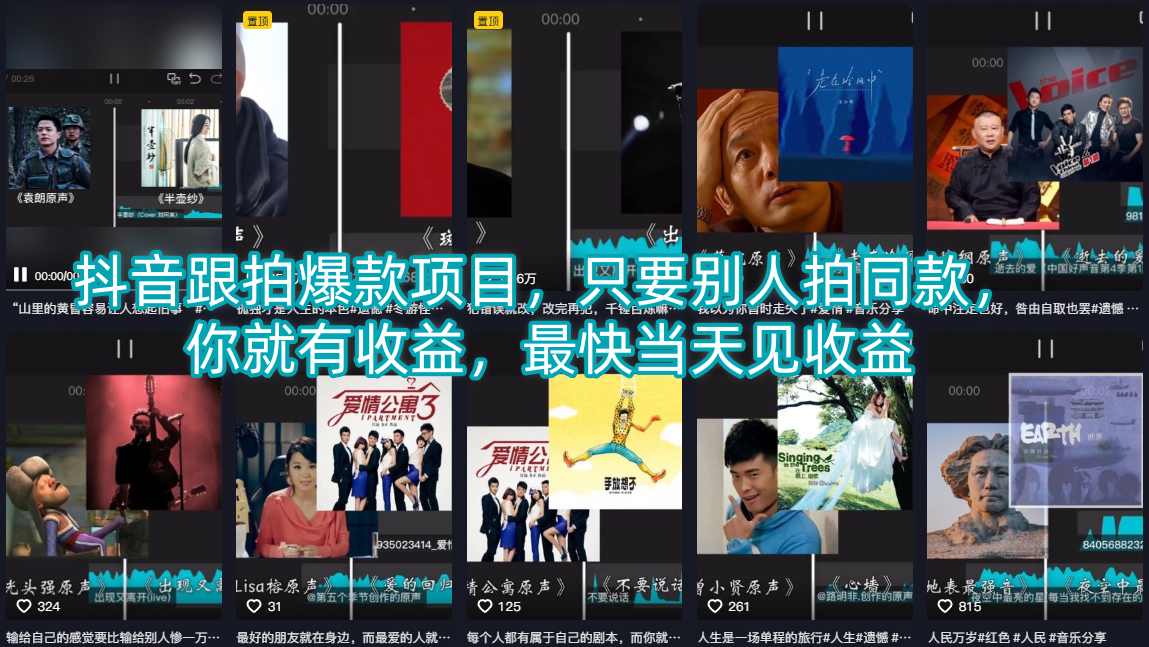抖音跟拍爆款项目,只要别人拍同款,你就有收益,最快当天见收益插图 抖音跟拍爆款项目,只要别人拍同款,你就有收益,最快当天见收益