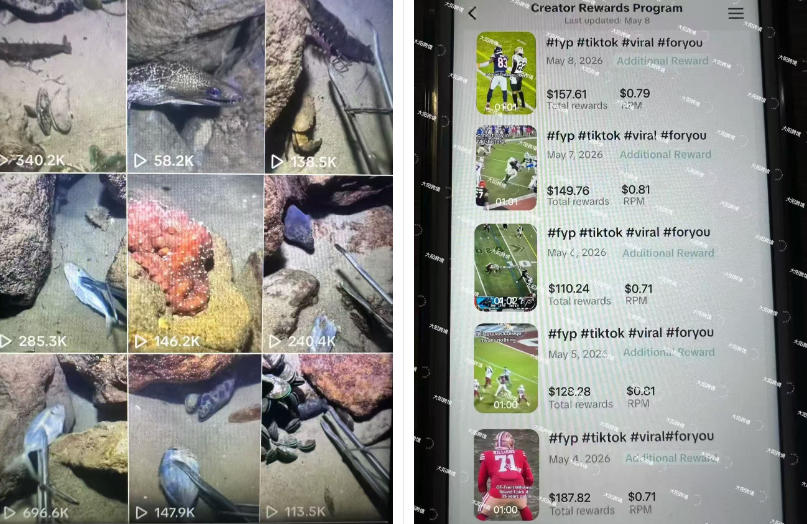 Tiktok中视频解说教程,体育+温情文案双赛道实操教程一站式带你落地,教你出海賺美刀插图1 Tiktok中视频解说教程,体育+温情文案双赛道实操教程一站式带你落地,教你出海賺美刀